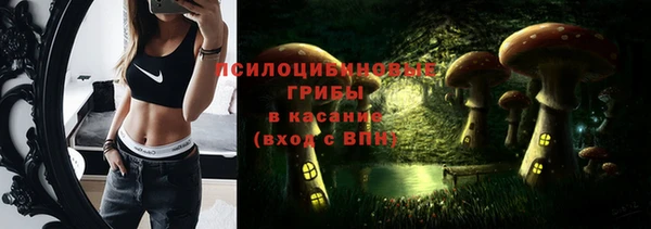 первитин Дмитровск