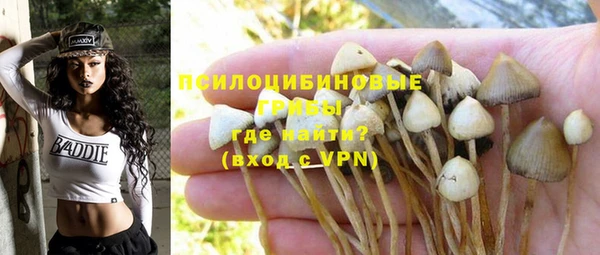спиды Абинск