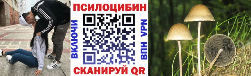 Галлюциногенные грибы Psilocybine cubensis  Беломорск 